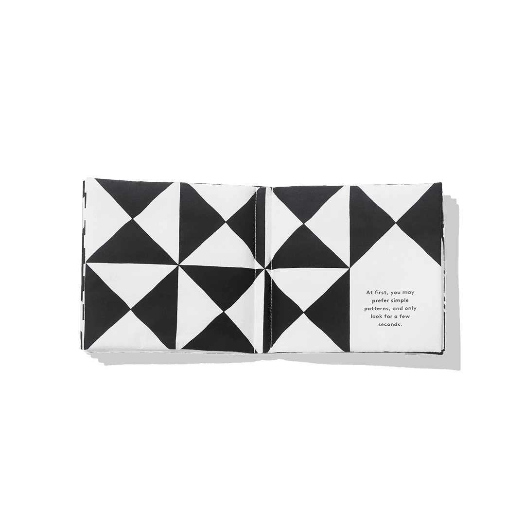 what do you see baby book Lovevery