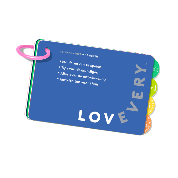 Play Guide for The Looker Play Kit