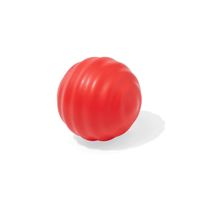 Shake & Splash Bath Ball